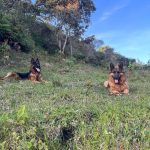 Maya y Dala Juntas